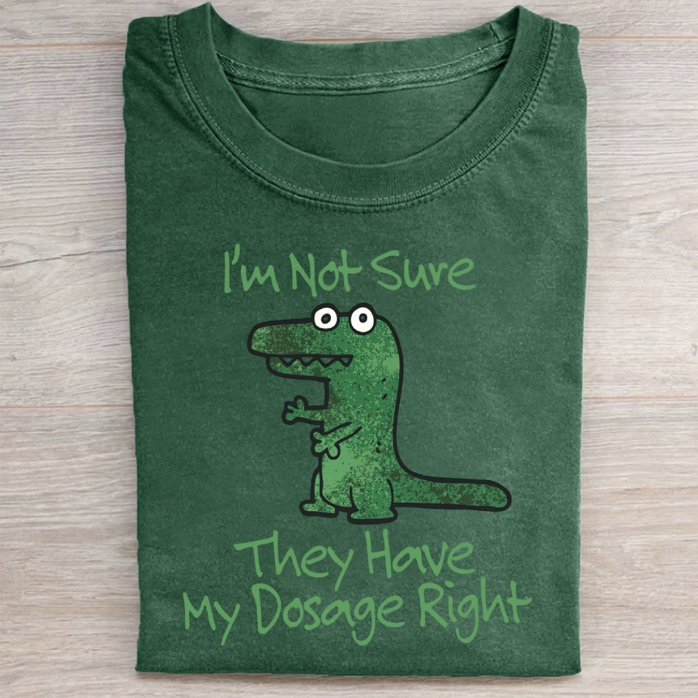 Dinosaur Meme Washed Tee 
