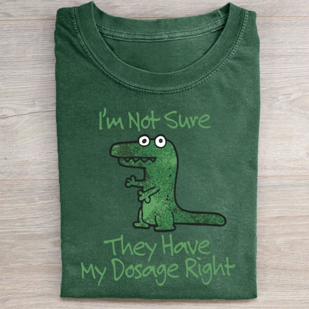 Dinosaur Meme Washed Tee 