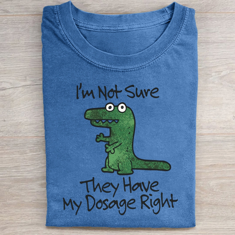Dinosaur Meme Washed Tee 