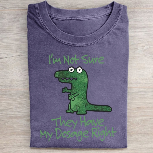 Dinosaur Meme Washed Tee 