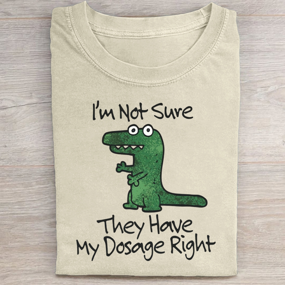 Dinosaur Meme Washed Tee 