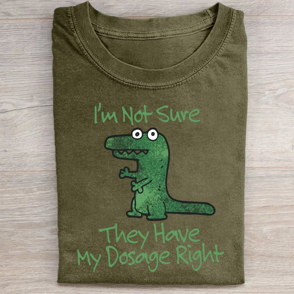 Dinosaur Meme Washed Tee 