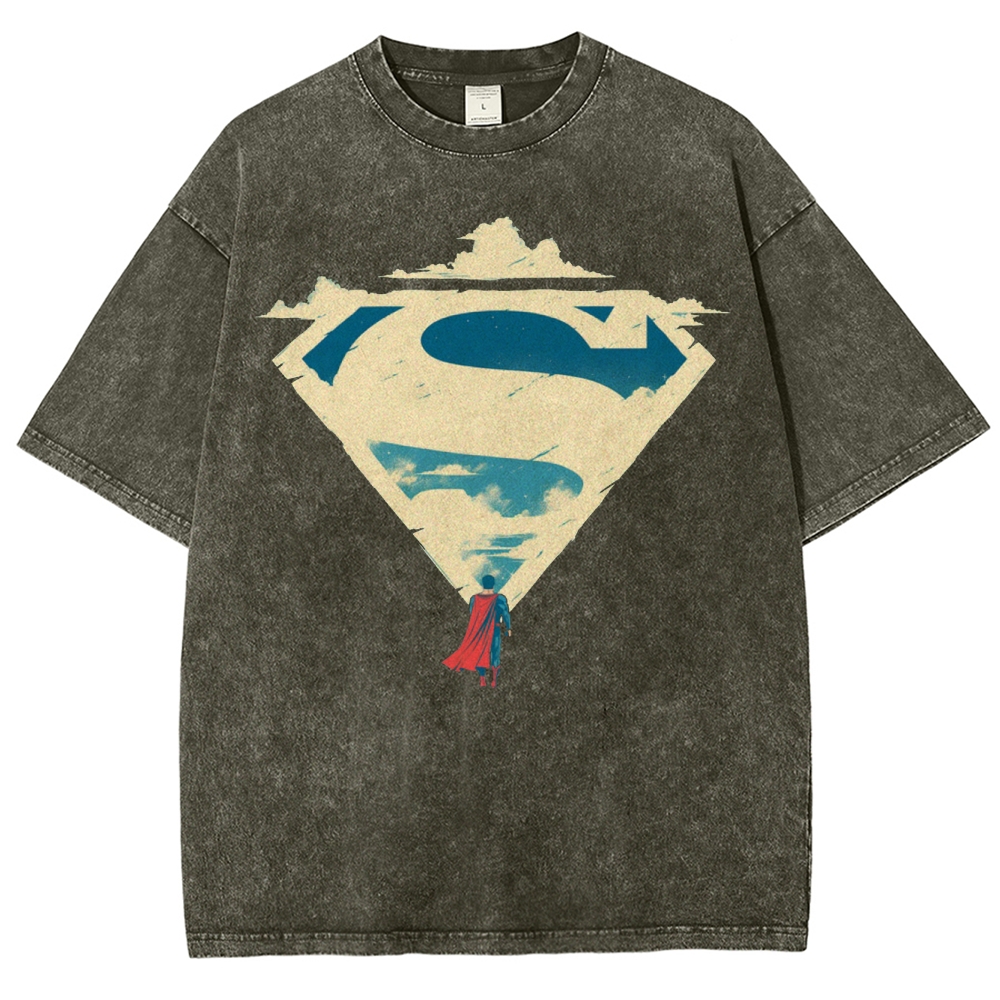 Superman Skywalk Washed T-Shirt