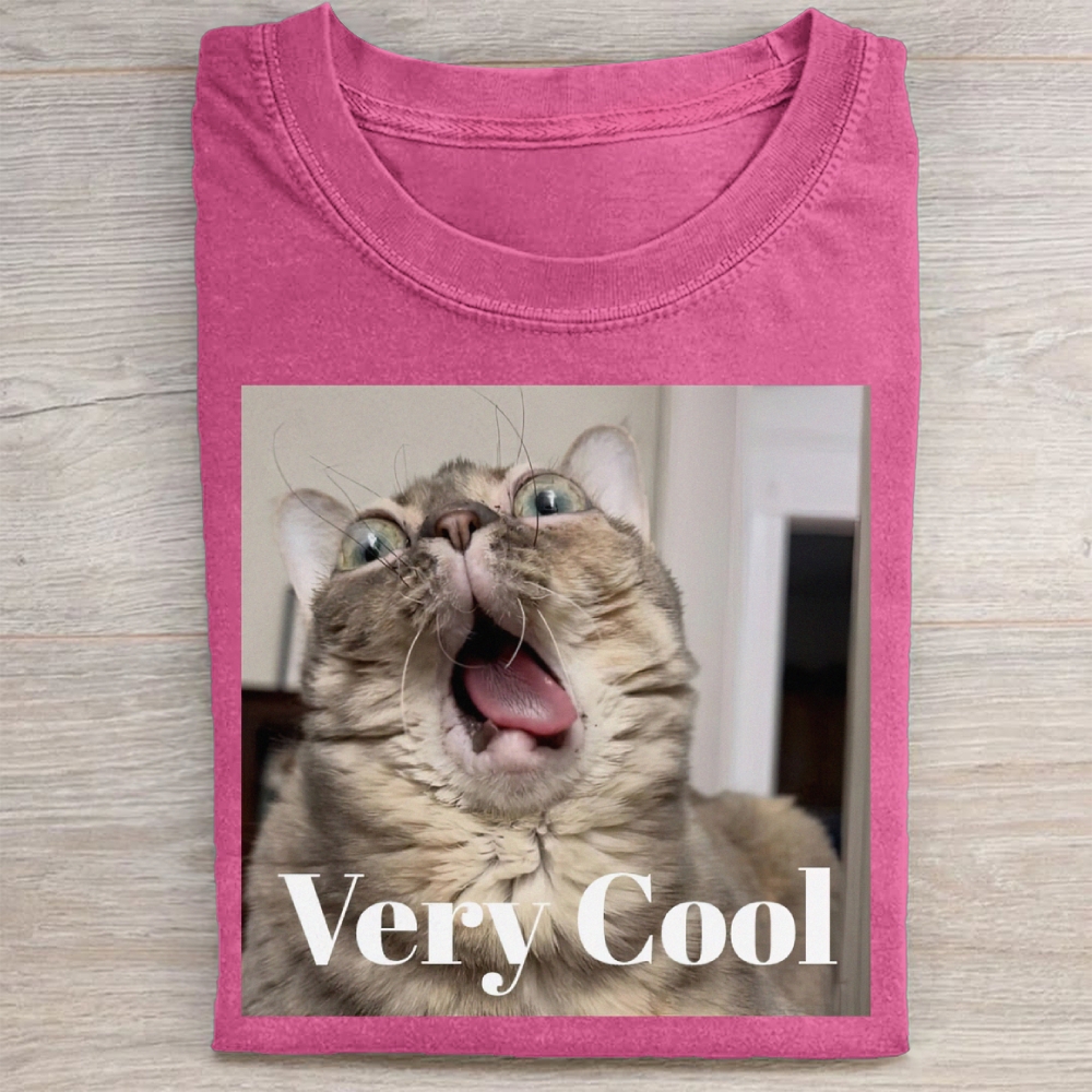 Gumbus Very Cool  Cat Washed Tee