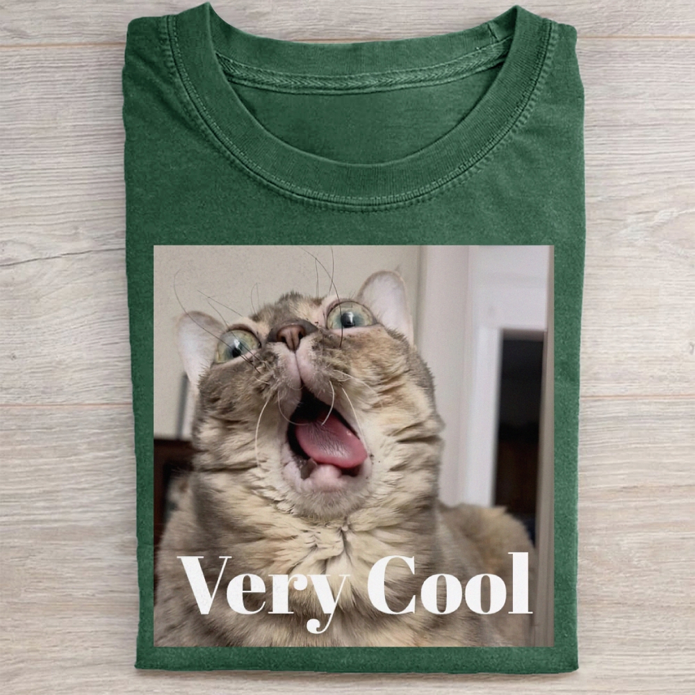 Gumbus Very Cool  Cat Washed Tee