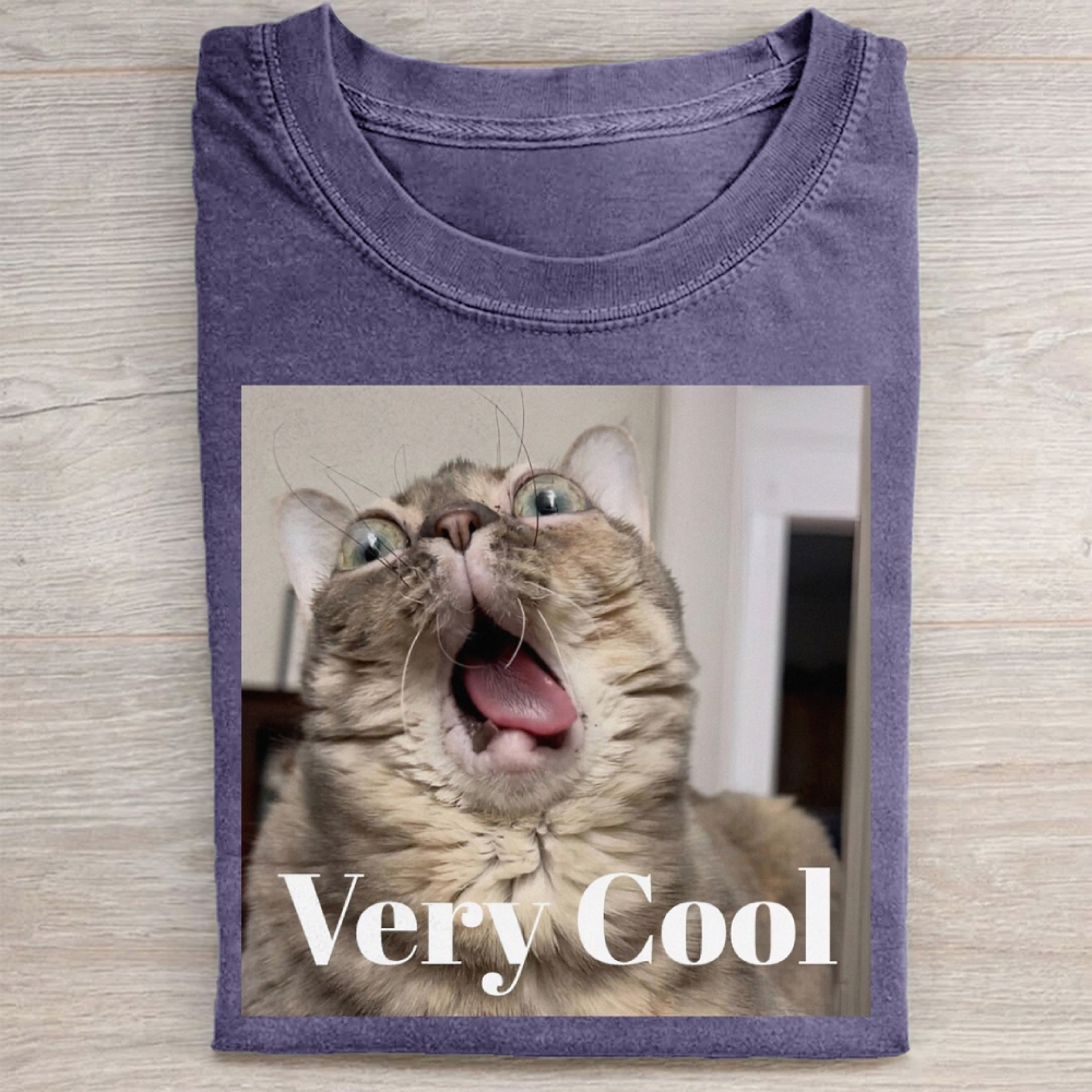 Gumbus Very Cool  Cat Washed Tee