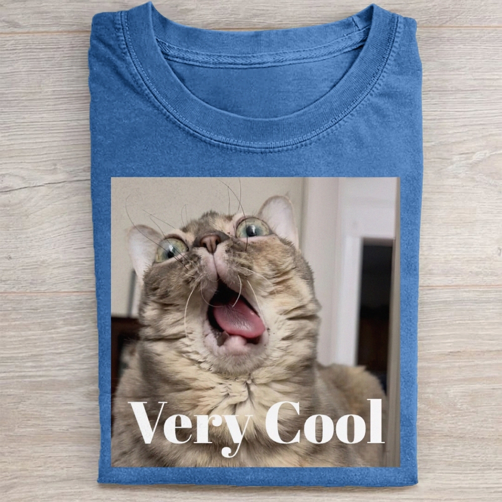 Gumbus Very Cool  Cat Washed Tee