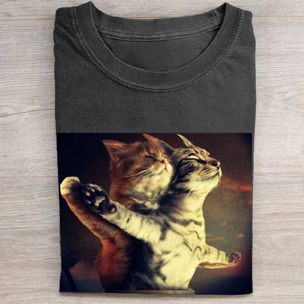 Titanic Cat Meme Vintage Washed Tee