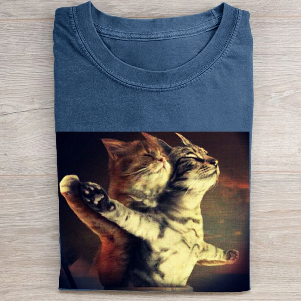 Titanic Cat Meme Vintage Washed Tee