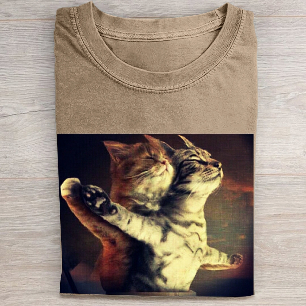 Titanic Cat Meme Vintage Washed Tee