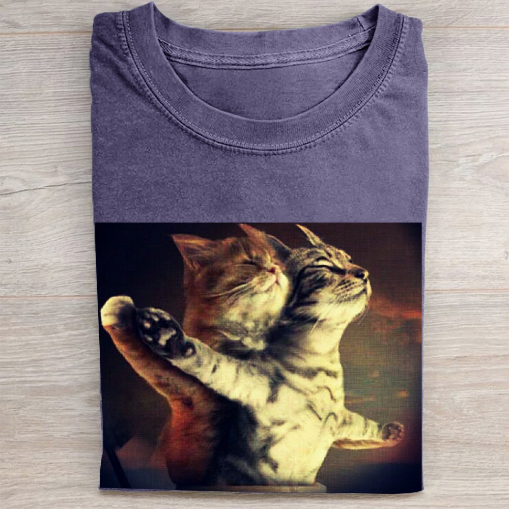 Titanic Cat Meme Vintage Washed Tee