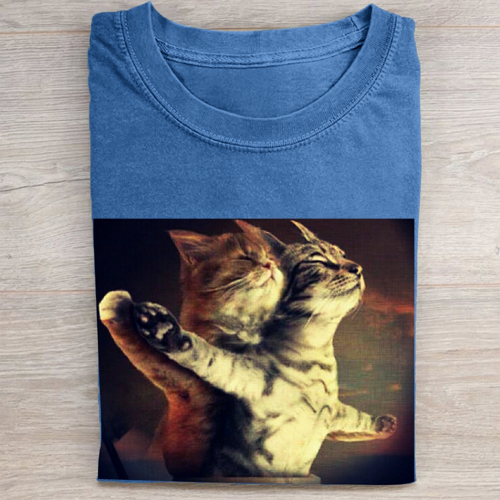 Titanic Cat Meme Vintage Washed Tee