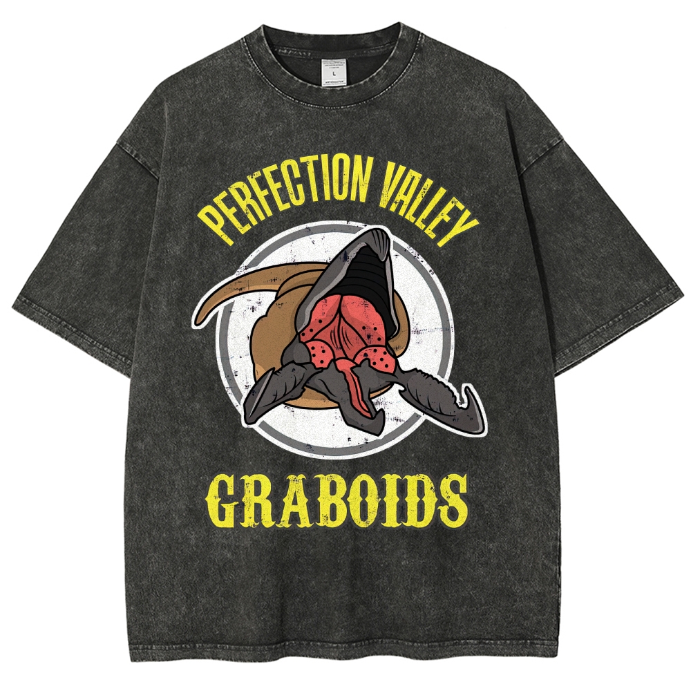"Perfection Valley Graboids" Desert Monster Washed T-Shirt