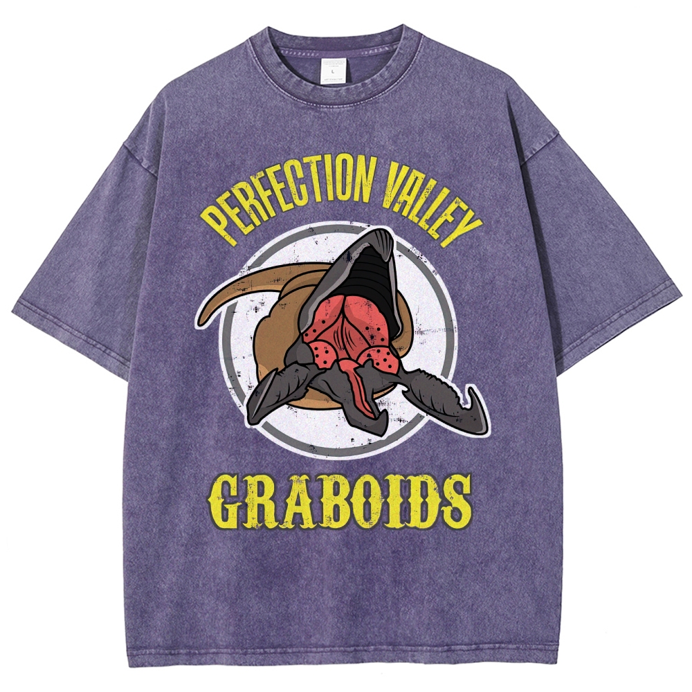"Perfection Valley Graboids" Desert Monster Washed T-Shirt