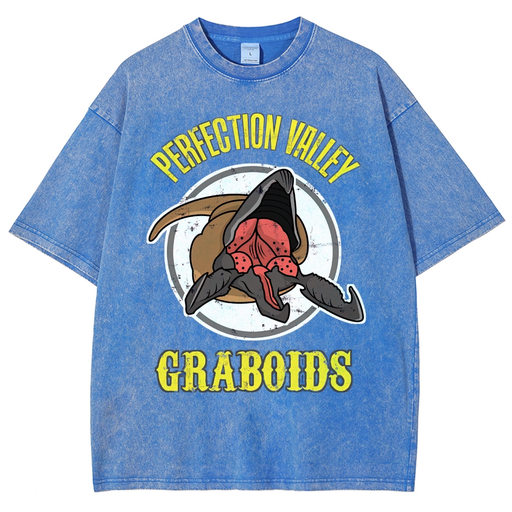 "Perfection Valley Graboids" Desert Monster Washed T-Shirt