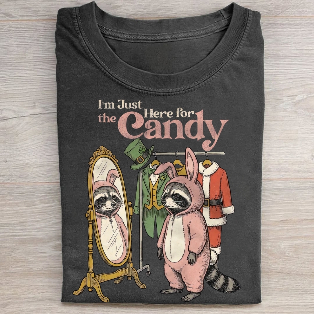 Funny Raccoon Costume Graphic Washed Tee