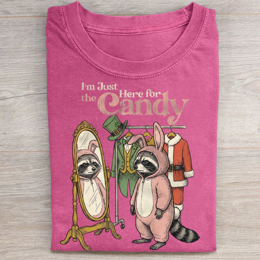 Funny Raccoon Costume Graphic Washed Tee 