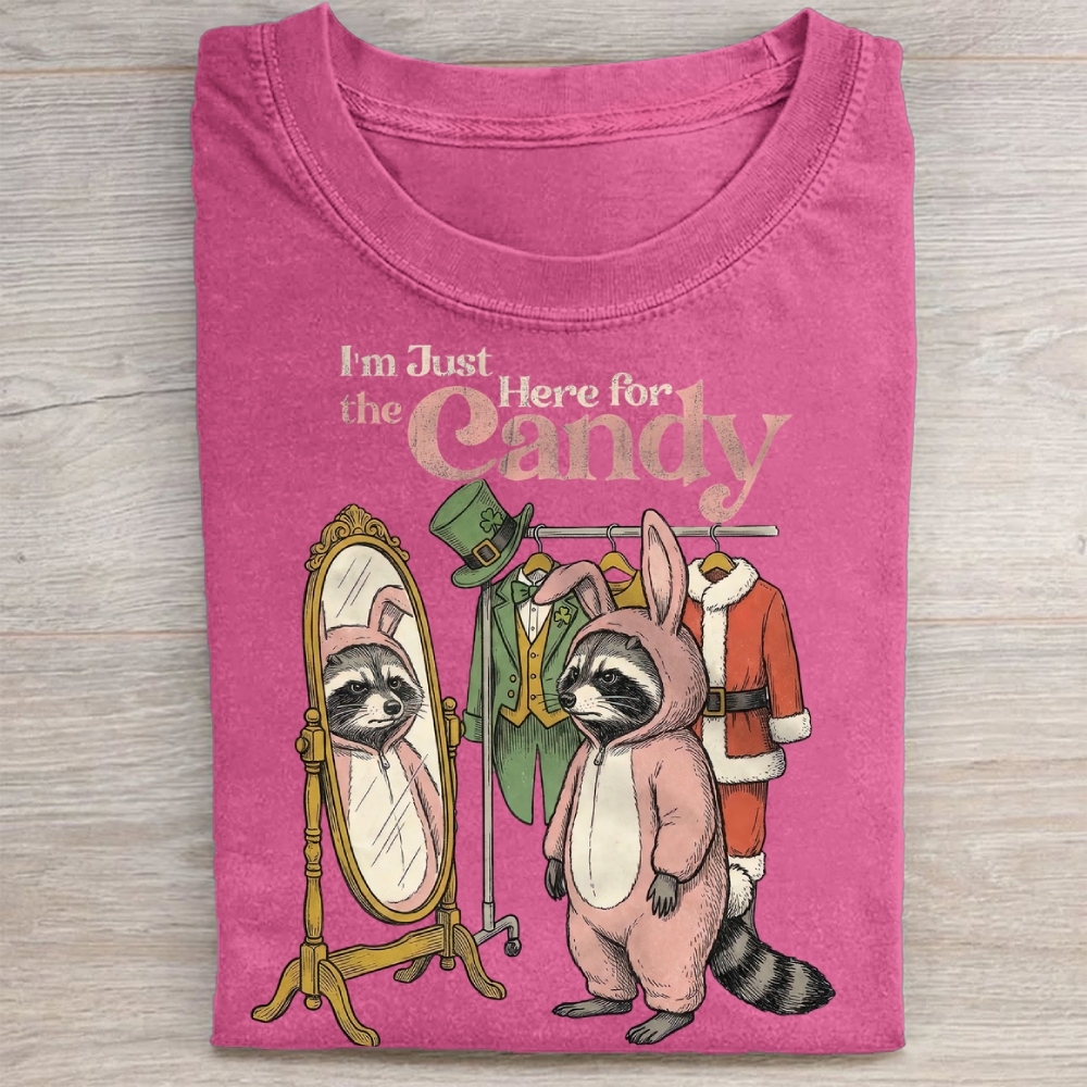 Funny Raccoon Costume Graphic Washed Tee 