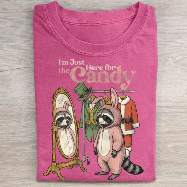 Funny Raccoon Costume Graphic Washed Tee 