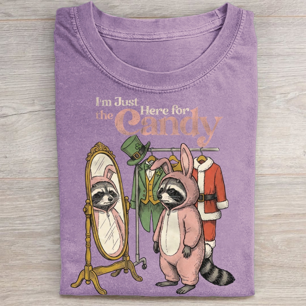 Funny Raccoon Costume Graphic Washed Tee 