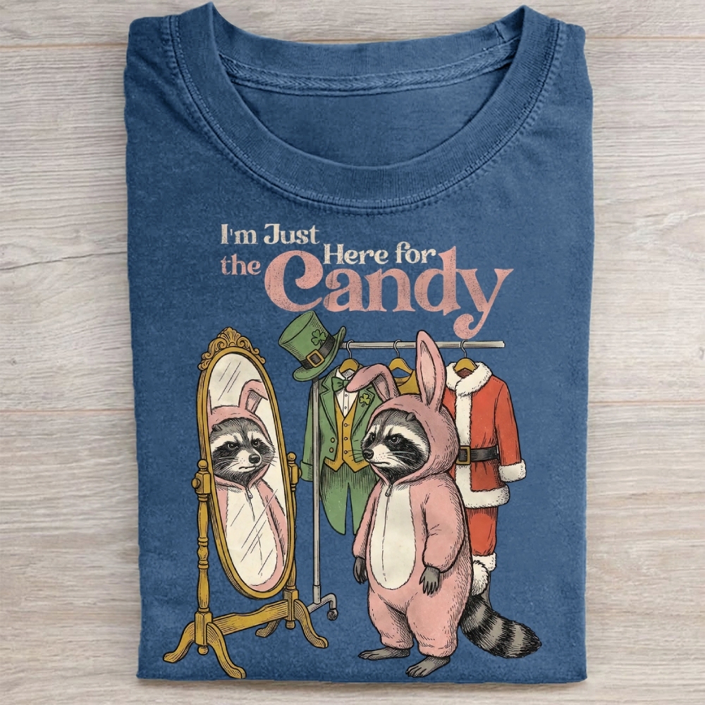 Funny Raccoon Costume Graphic Washed Tee 