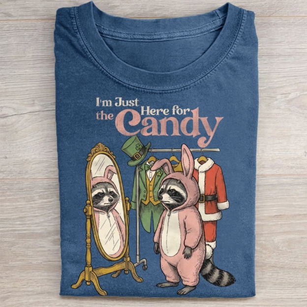 Funny Raccoon Costume Graphic Washed Tee 