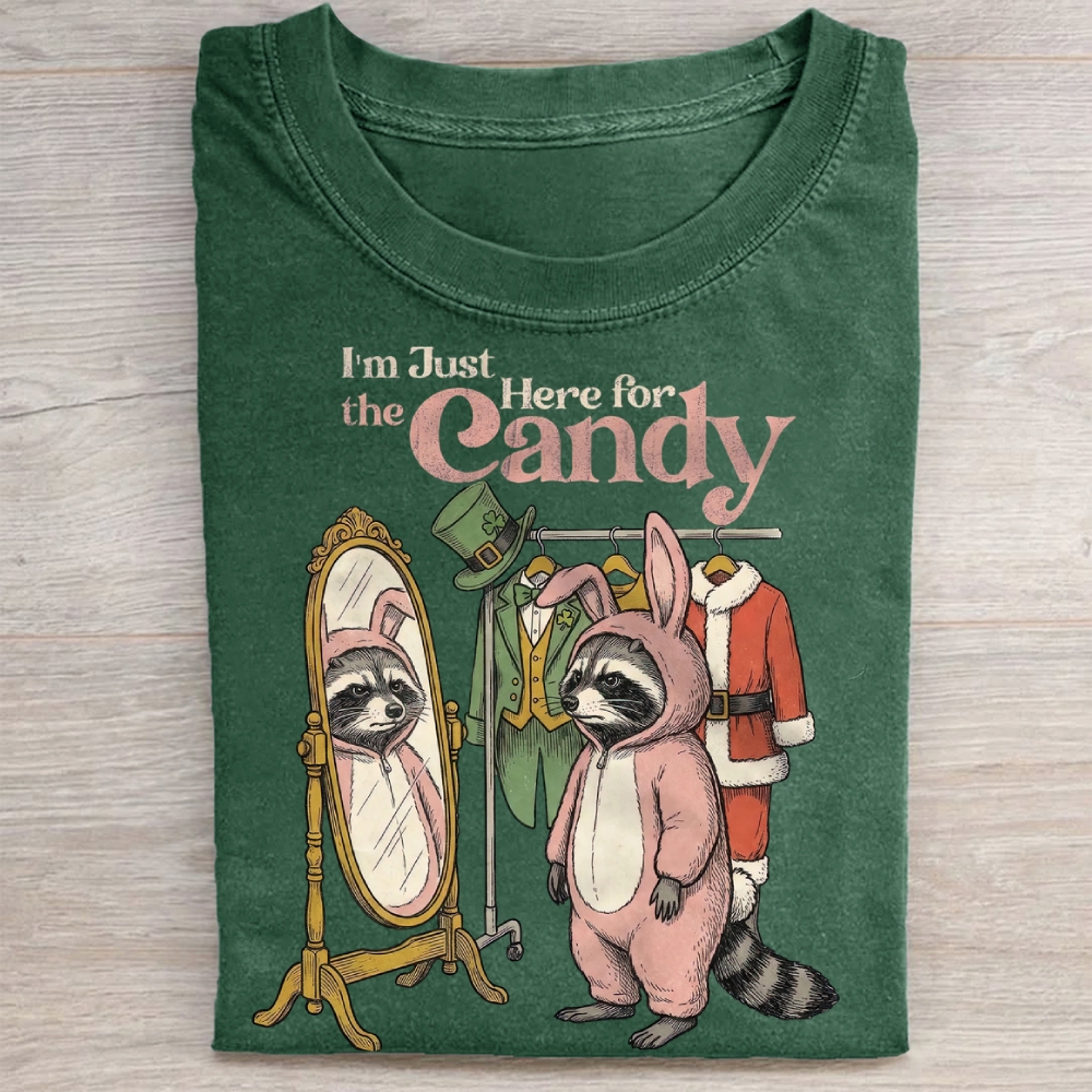 Funny Raccoon Costume Graphic Washed Tee 