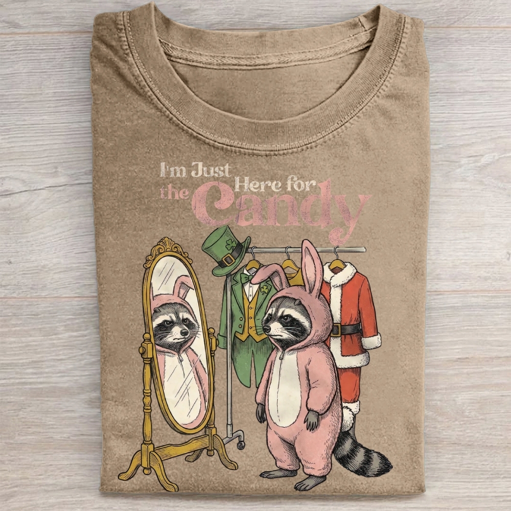 Funny Raccoon Costume Graphic Washed Tee 