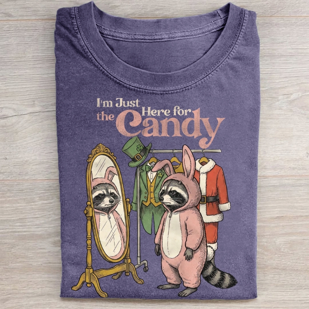 Funny Raccoon Costume Graphic Washed Tee 