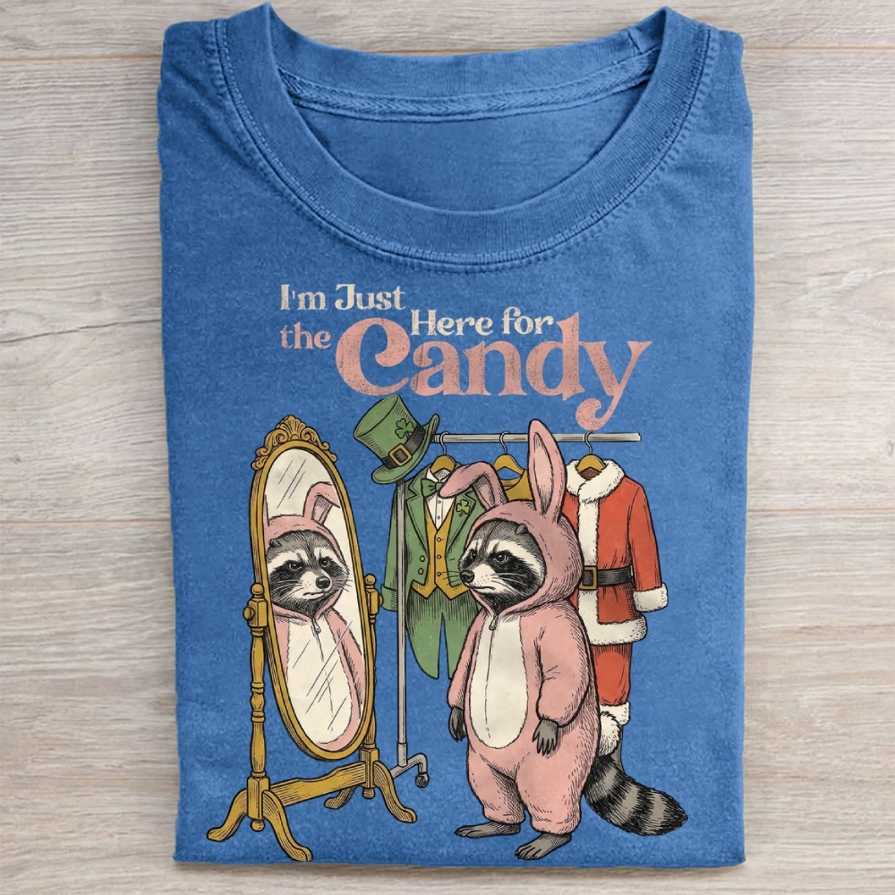 Funny Raccoon Costume Graphic Washed Tee 