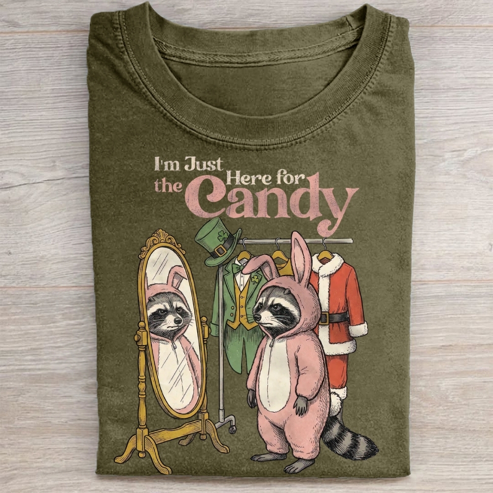 Funny Raccoon Costume Graphic Washed Tee 