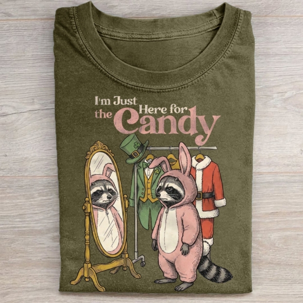 Funny Raccoon Costume Graphic Washed Tee 