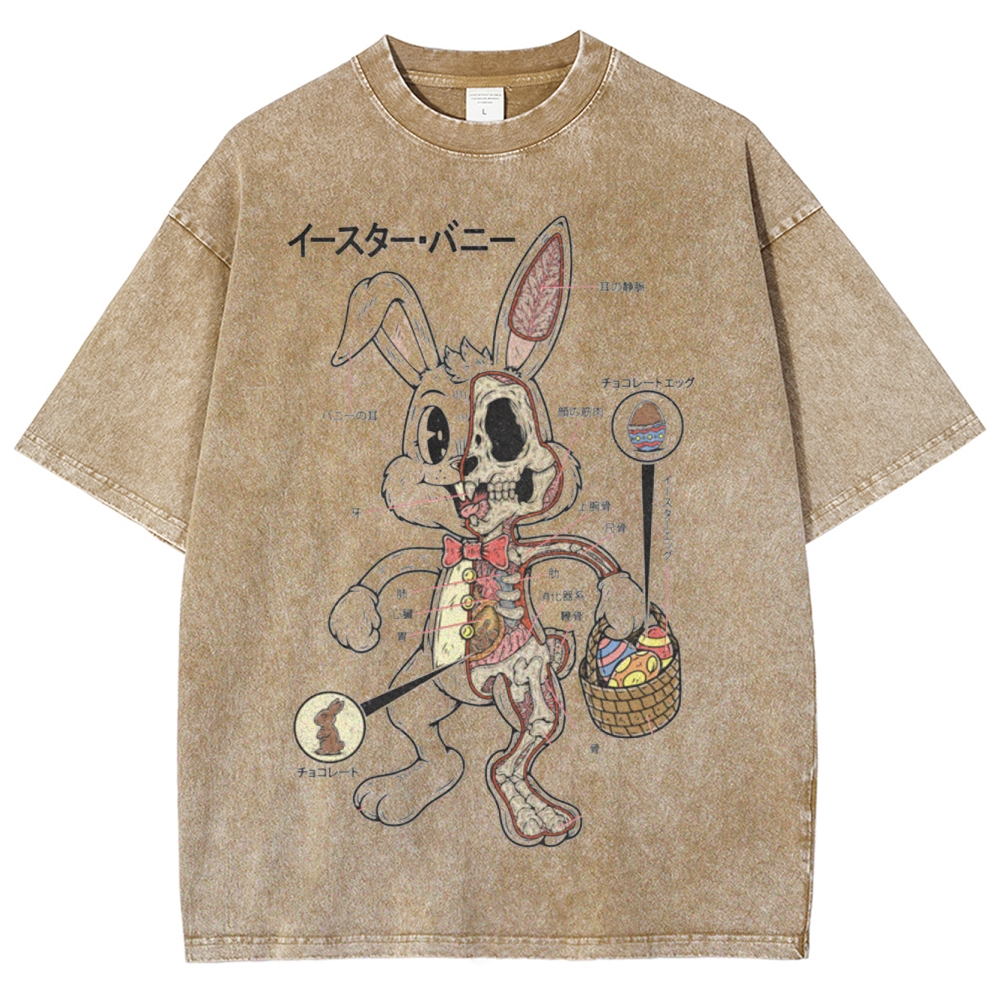 "Easter Bunny Anatomy" Japanese Diagram Washed T-Shirt