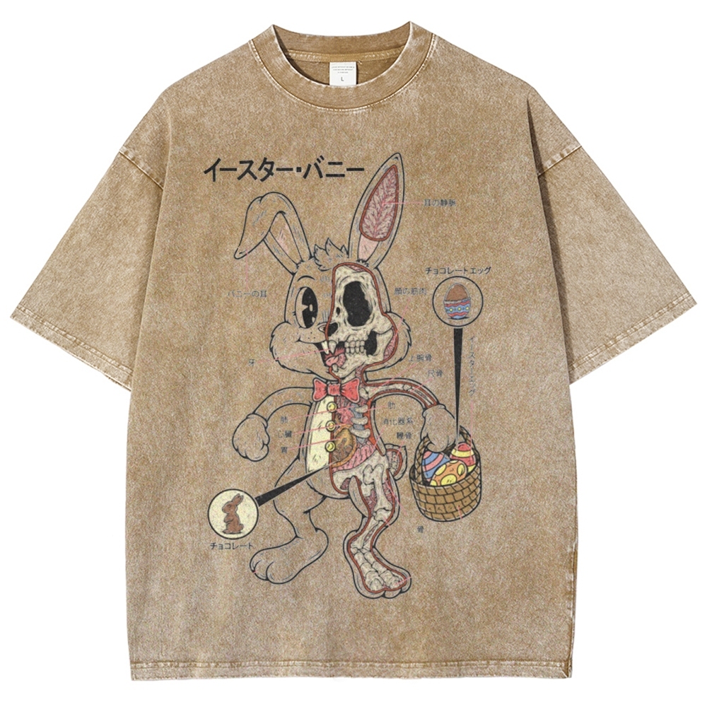 "Easter Bunny Anatomy" Japanese Diagram Washed T-Shirt