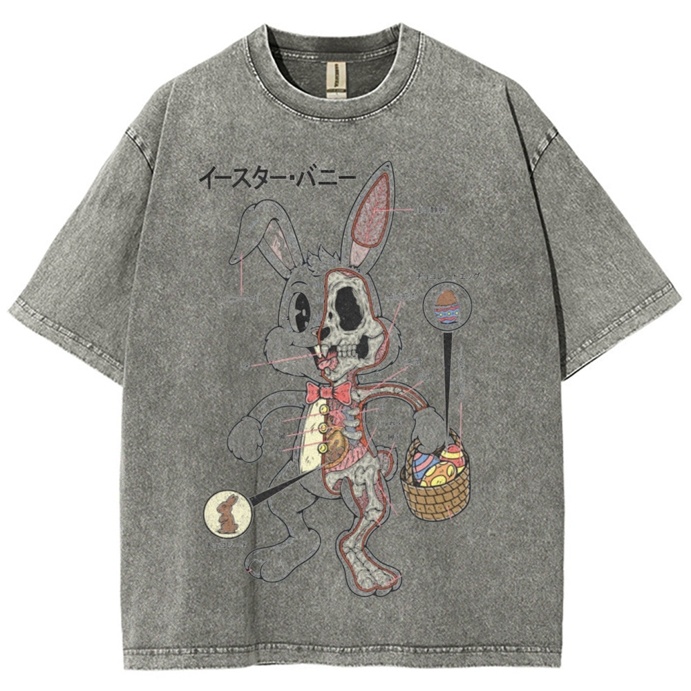 "Easter Bunny Anatomy" Japanese Diagram Washed T-Shirt