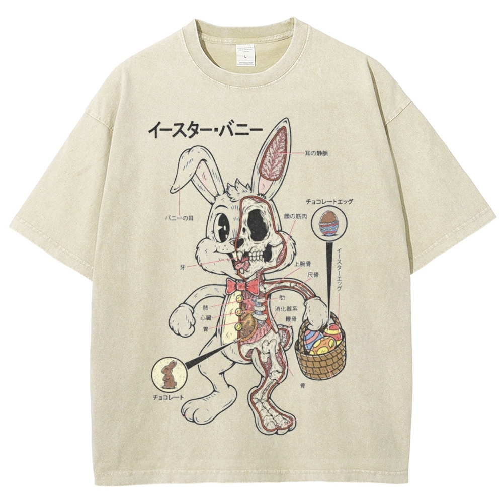 "Easter Bunny Anatomy" Japanese Diagram Washed T-Shirt