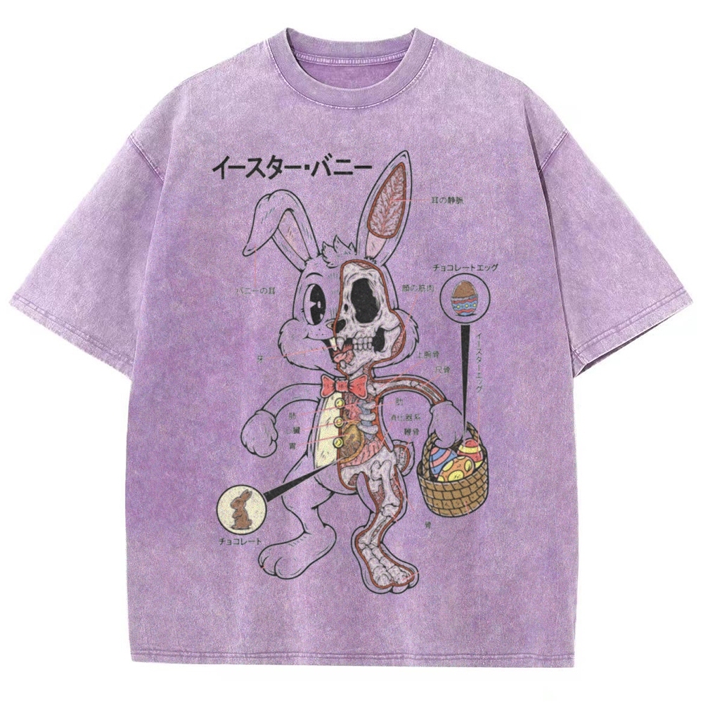 "Easter Bunny Anatomy" Japanese Diagram Washed T-Shirt