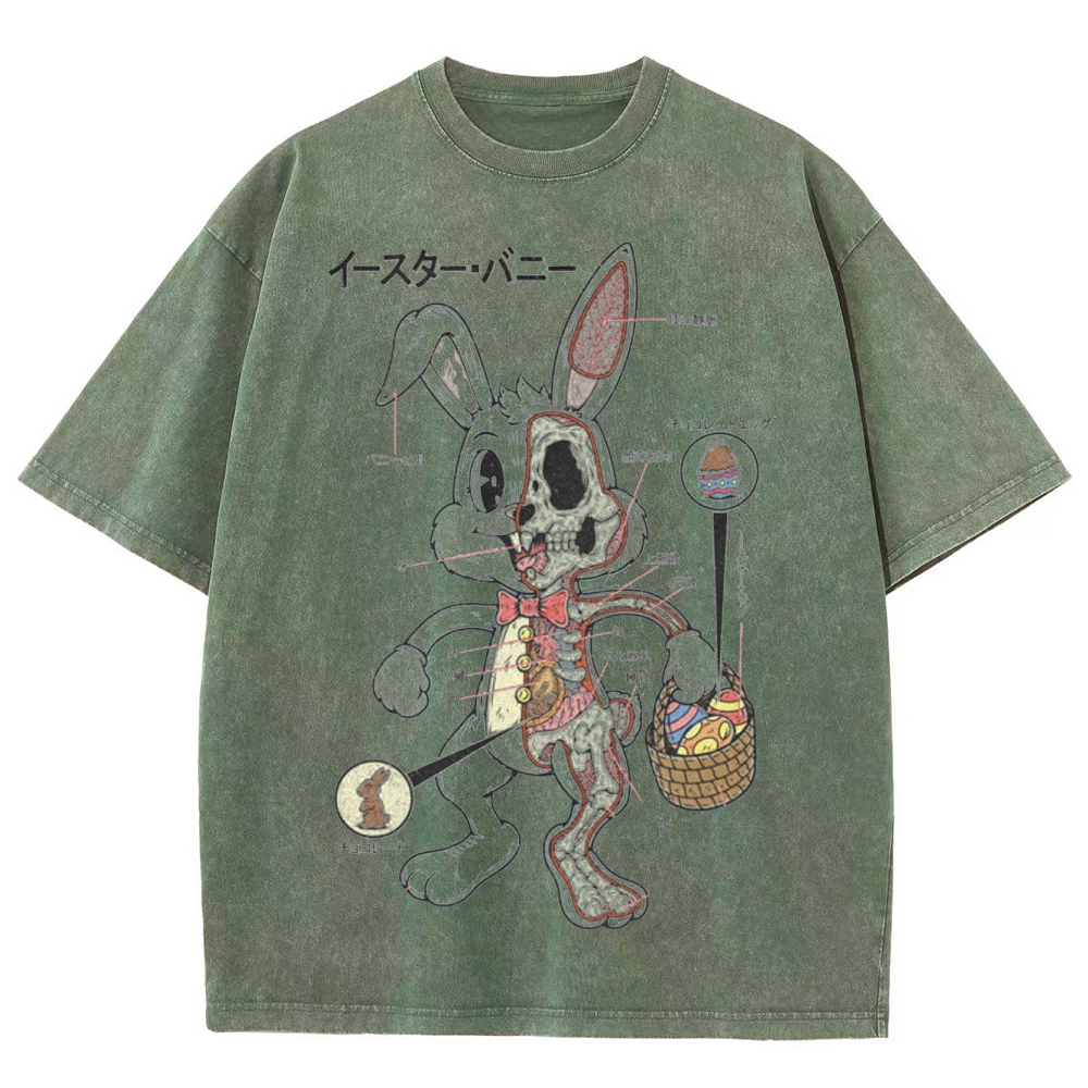 "Easter Bunny Anatomy" Japanese Diagram Washed T-Shirt
