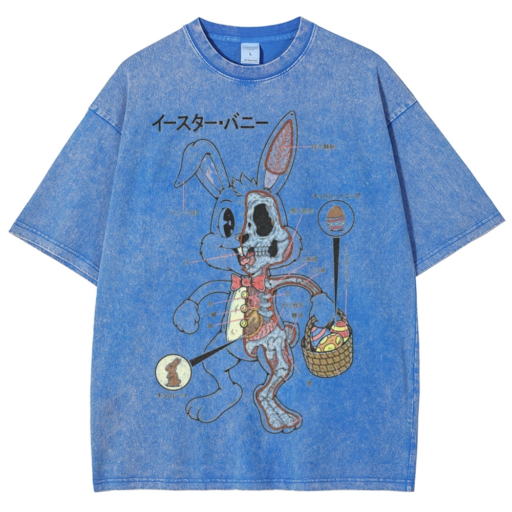 "Easter Bunny Anatomy" Japanese Diagram Washed T-Shirt