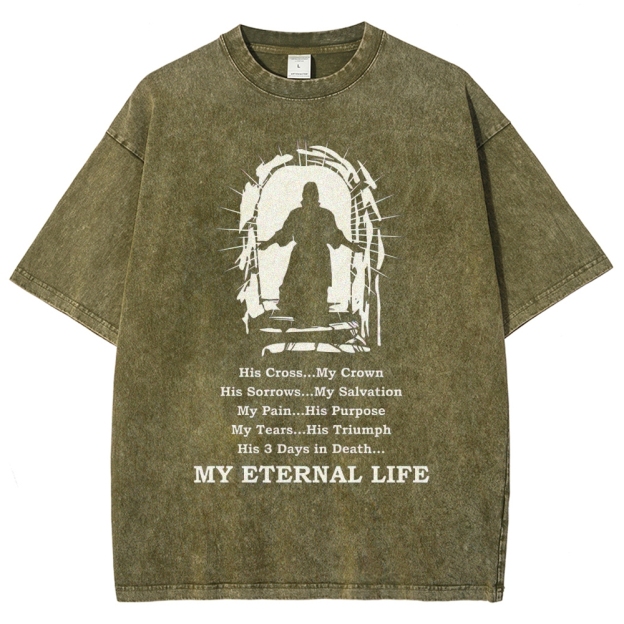 "Always Be a T-Rex" Dinosaur Pun Washed T-Shirt 