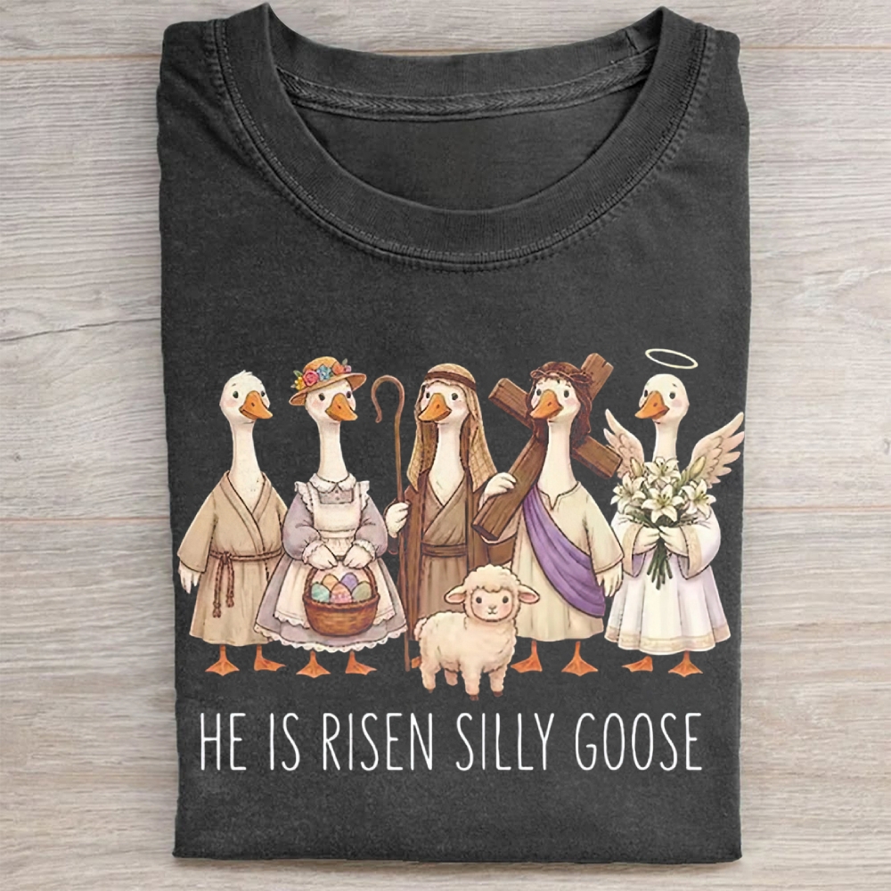 He Is Risen Silly Goose Washed Tee 