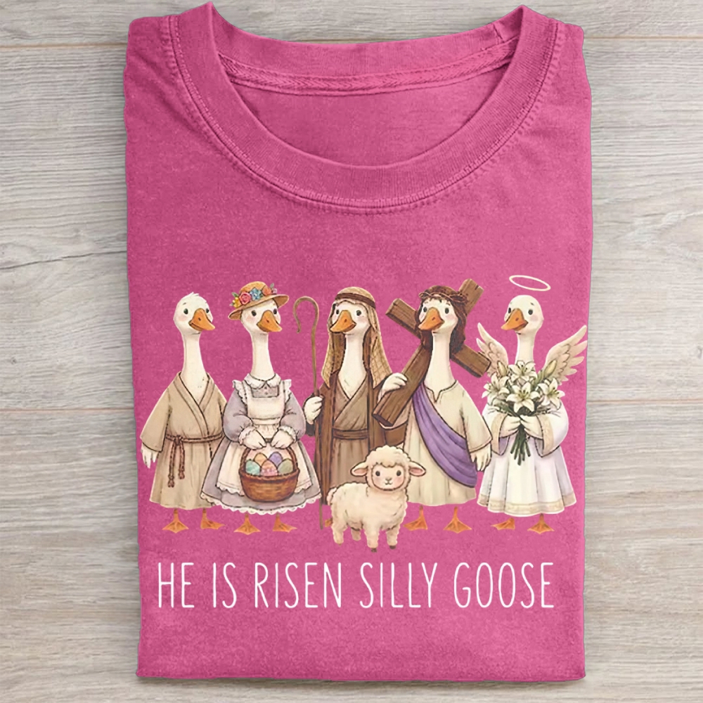 He Is Risen Silly Goose Washed Tee 