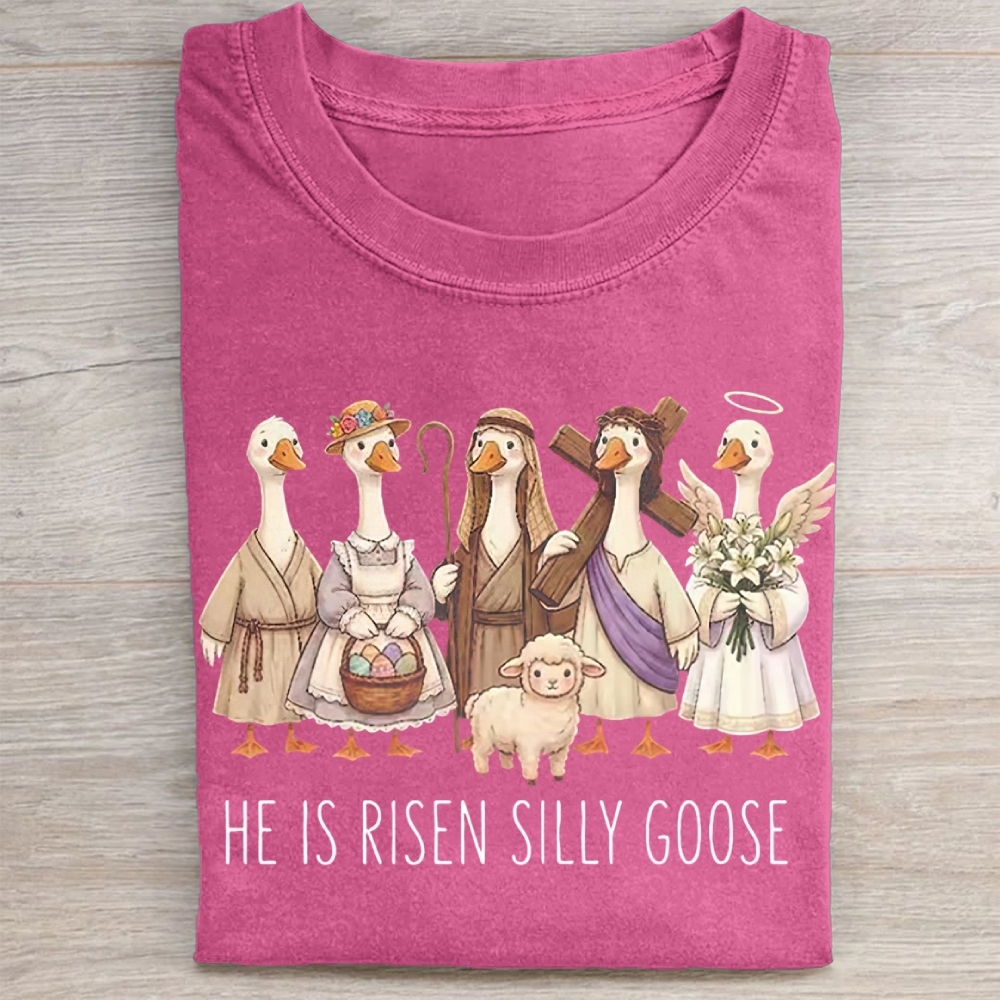He Is Risen Silly Goose Washed Tee 