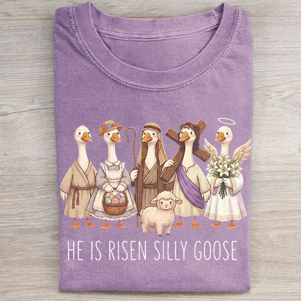 He Is Risen Silly Goose Washed Tee 