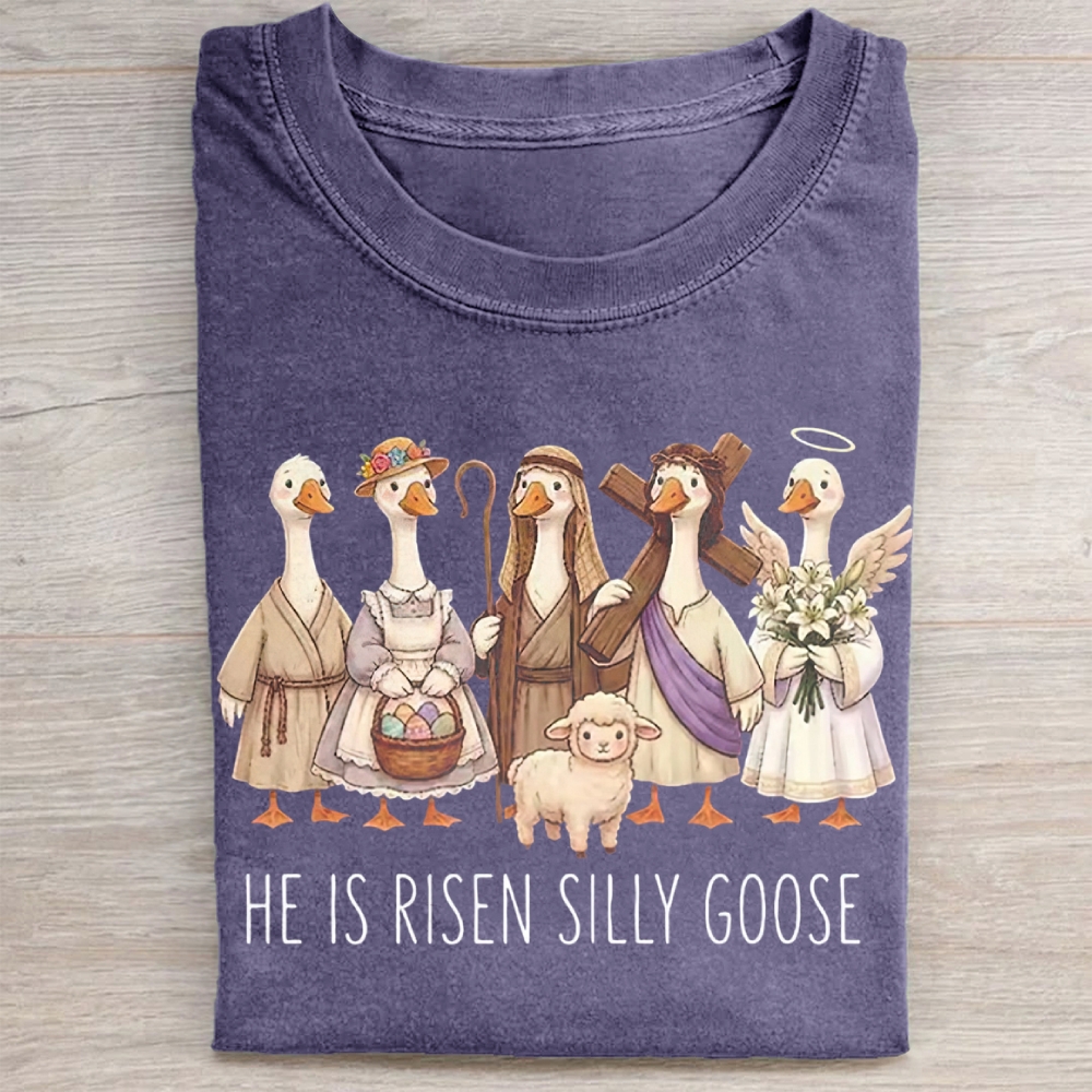 He Is Risen Silly Goose Washed Tee 