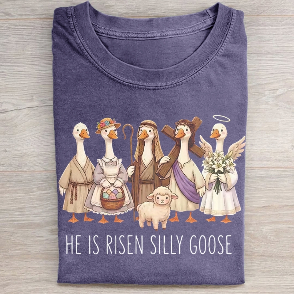 He Is Risen Silly Goose Washed Tee 