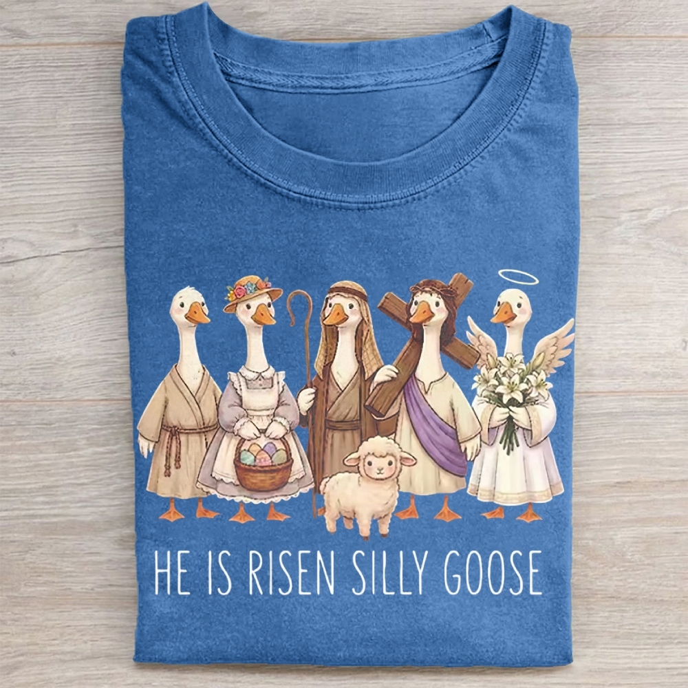 He Is Risen Silly Goose Washed Tee 