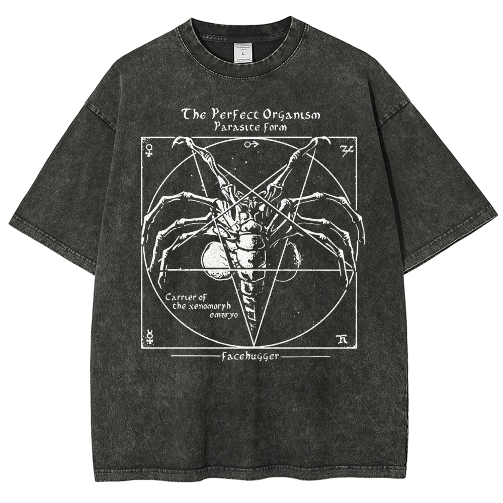 Sci-Fi Symmetry Creature Anatomy  Washed T-Shirt 