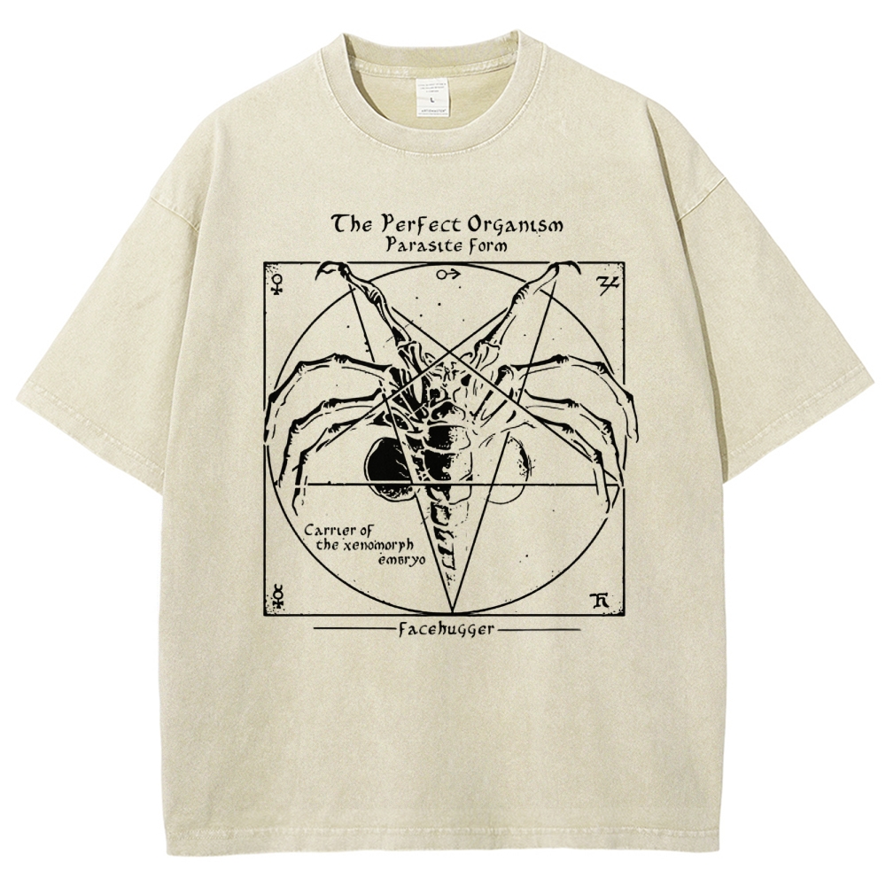Sci-Fi Symmetry Creature Anatomy  Washed T-Shirt 