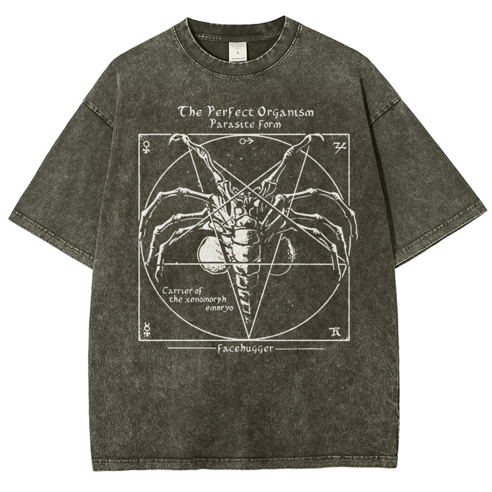 Sci-Fi Symmetry Creature Anatomy  Washed T-Shirt 